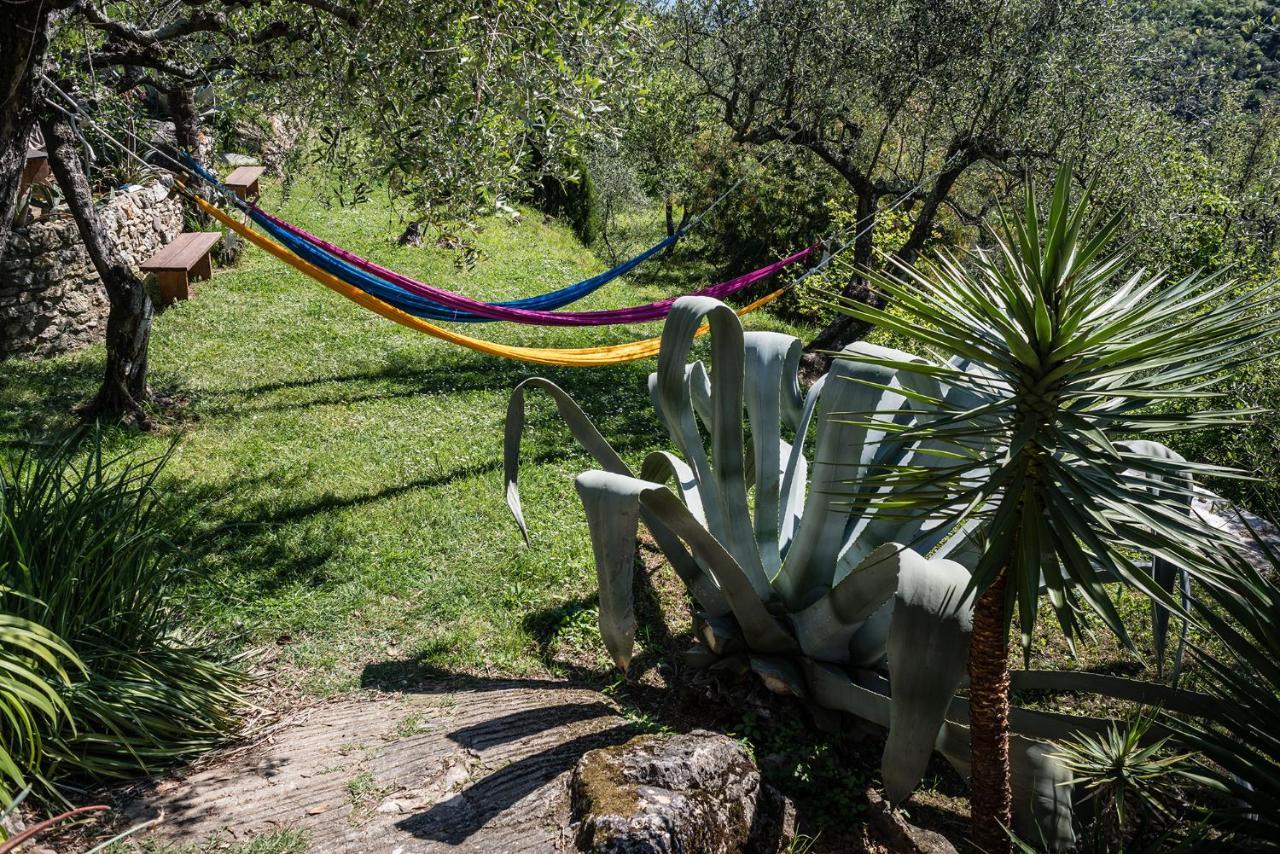 レーリチ La Fattoria Di Nonna Eugenia Bed & Breakfast エクステリア 写真
