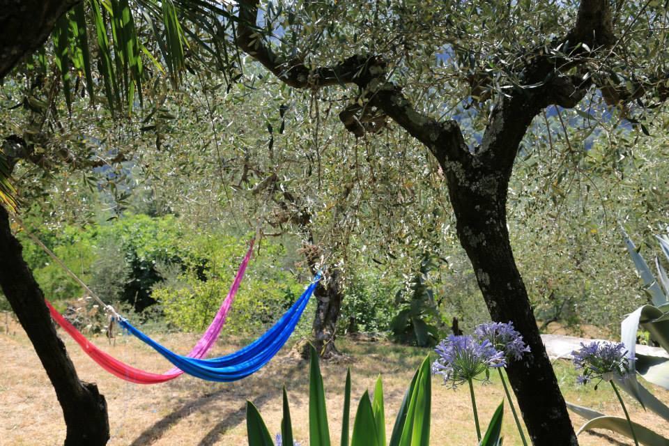 レーリチ La Fattoria Di Nonna Eugenia Bed & Breakfast エクステリア 写真