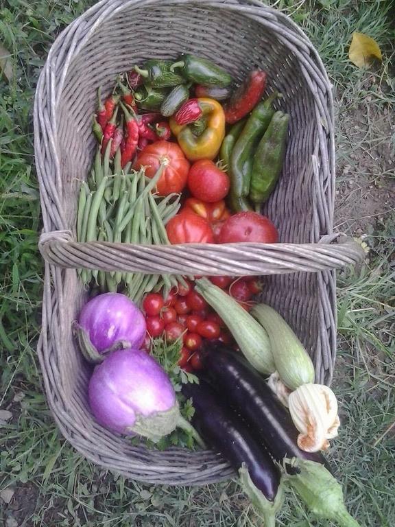 レーリチ La Fattoria Di Nonna Eugenia Bed & Breakfast エクステリア 写真